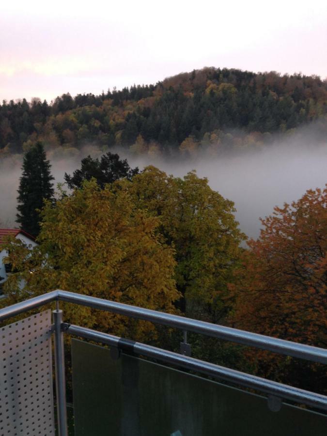 Apartment Sonnenterrasse Baden-Baden Bagian luar foto